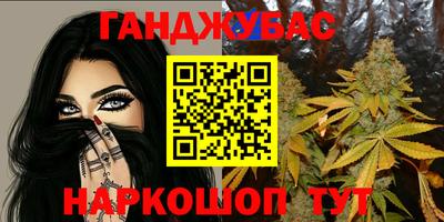 мдпв Гусев