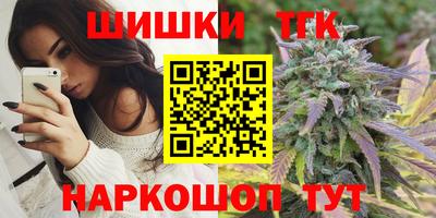 мдпв Гусев