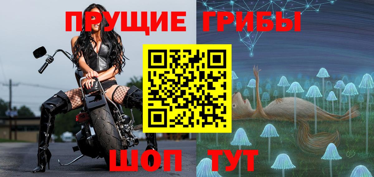 Маркс  Галлюциногенные грибы Cubensis  Вход с VPN 